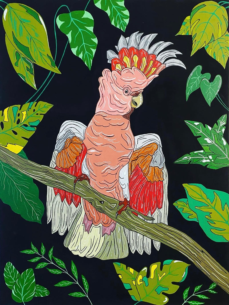 “Major Cockatoo”